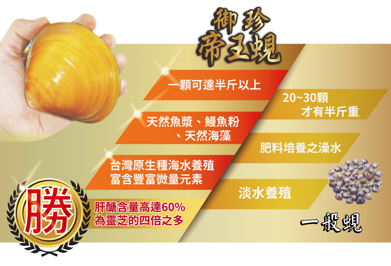 產品專業感